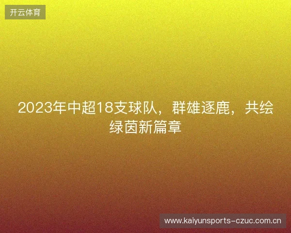 2023年中超18支球队，群雄逐鹿，共绘绿茵新篇章