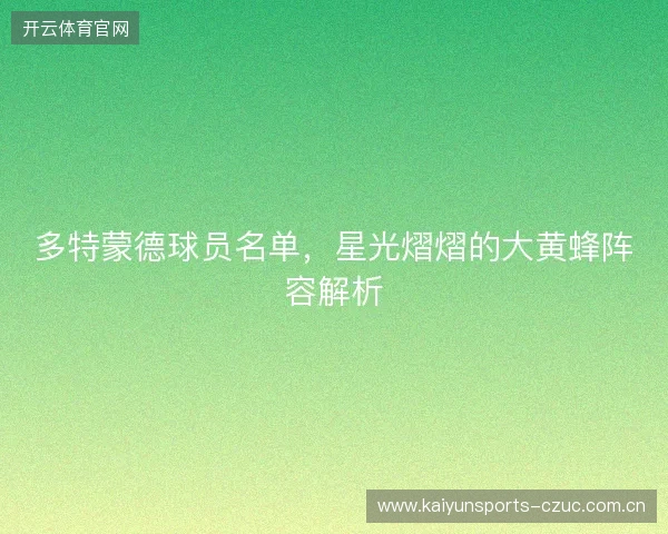 多特蒙德球员名单，星光熠熠的大黄蜂阵容解析